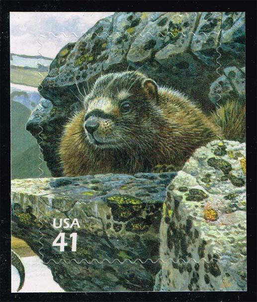 US #4198c Yellow-bellied Marmot; Used (0.40)