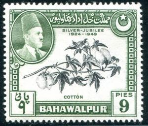 Bahawalpur #24   Panjnad Weir & Cotton    MH