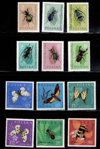 Poland Scott  1029-1040 MH* insect set expect similar centering stock image