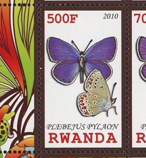 Butterfly Stamp Plebejus Pylaon Insect Souvenir Sheet of 4 Stamps MNH