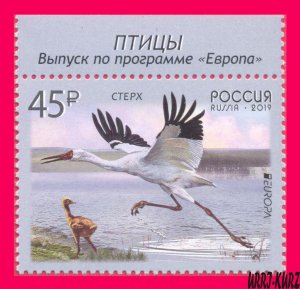 RUSSIA 2019 Europa CEPT Nature Fauna Bird Siberian Crane with Cub 1v Sc7996 MNH