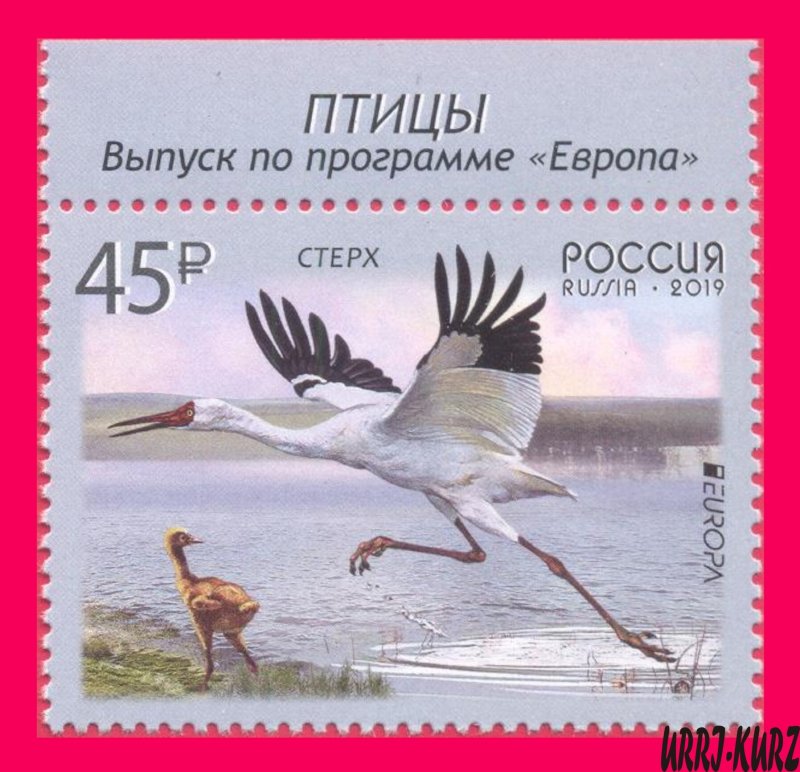 RUSSIA 2019 Europa CEPT Nature Fauna Bird Siberian Crane with Cub 1v Sc7996 MNH
