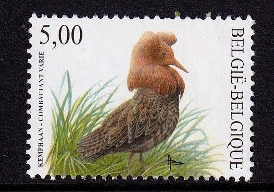 Belgium 2003  - Bird RUFF -  MNH # 1916