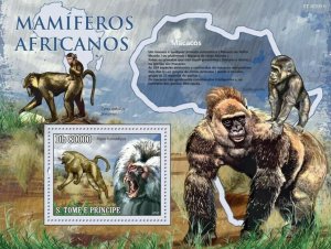 S. TOME & PRINCIPE 2010 - Animals of Africa - Monkeys S/s - Mi 4480/BL.768