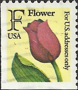 # 2519 USED RED ROSE