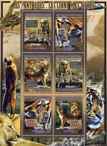 Guinea 2008 MNH - FAUNA- Panthers, Lions, Tigers. YT 3447-3452, Mi 5589-5594