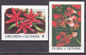 Guyana, Scott cat. 2374-2375. 2 Orchid s/sheets. Stamp Expo `90 issue. ^