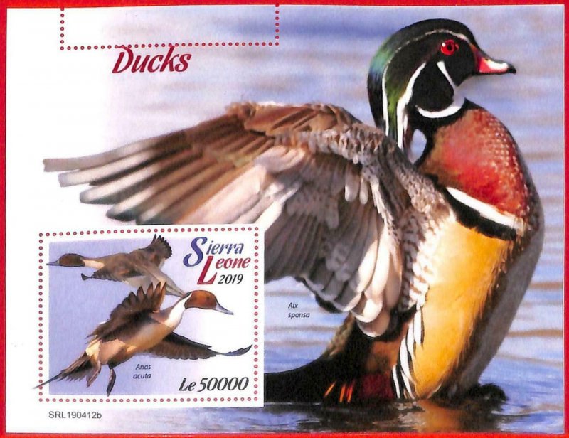 A4562 - SIERRA LEONE - ERROR MISPERF, Souvenir sheet: 2019, Ducks, Birds