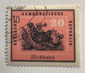 Germany DDR 1959 Scott 447 used - 20pf,  Native birds, Black Grouse