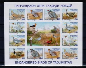 Tajikistan 1996 Birds Shlt (12 +L)  MNH Sc # 84-89  IMPERF.