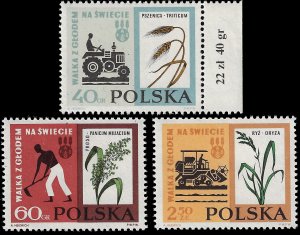 Poland 1963 Sc 1112-14 MNH vf UN FAO program
