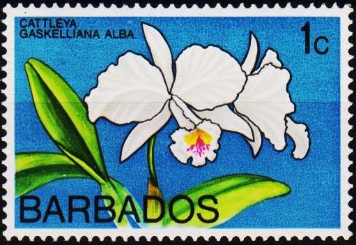 Barbados. 1970 1c S.G.419 Unmounted Mint