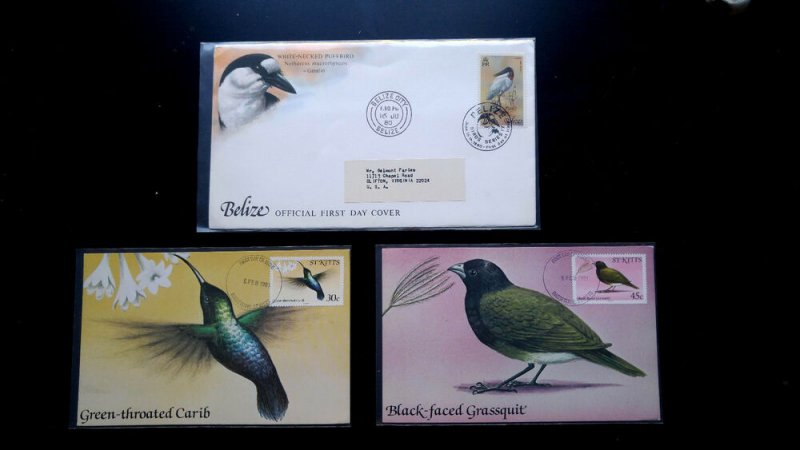 BELIZE & ST KITTS 1980-81 BIRDS 03 1ST DAY COVER ONE “POSTA