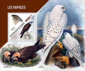 Guinea - 2022 Birds of Prey, Lesser Fish Eagle - Stamp Souvenir Sheet GU220312b