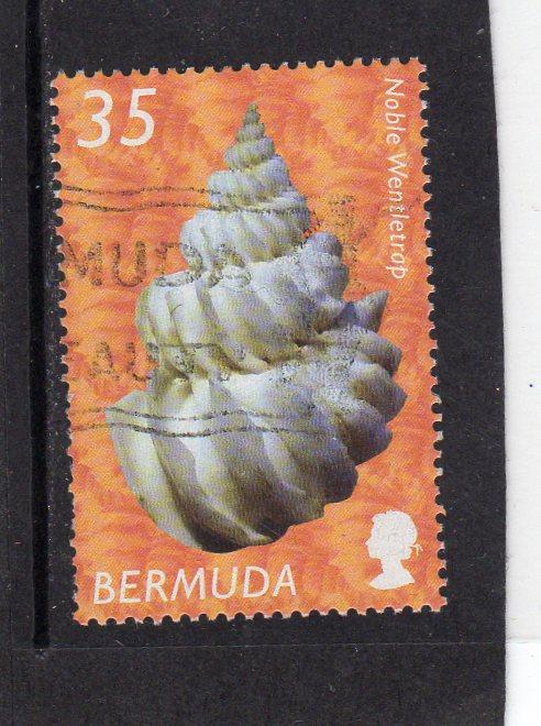 Bermuda Shells  used