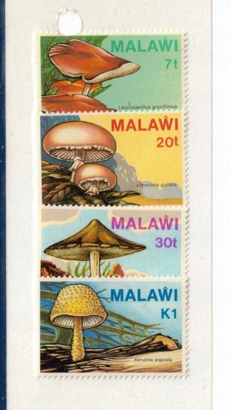 Malawi Sc 458-61 MNH set of 1985 - Mushrooms