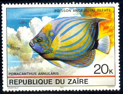 Tropical Fish, Blue-ringed Angelfish, Zaire SC#977 MNH