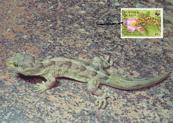 Norfolk Island 1996 Maxicard Sc #596d 45c Lord Howe Island gecko WWF