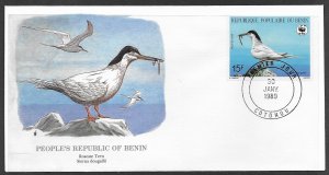 Sc 658 Benin Roseate Tern L191