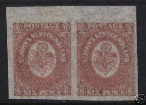 Newfoundland #20 XF/NH Pair