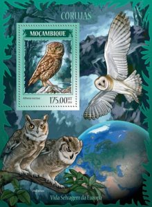 Mozambique 2014 Owls on Stamps  Stamp Souvenir Sheet 13A-1502