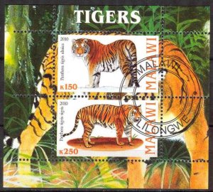 {g030} Malawi 2010 Tigers sheet Used / CTO Cinderella