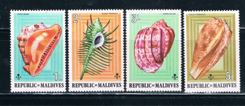 Maldive Islands #533 35;537 MNH Sea Shells (M0099)