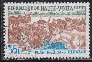 Burkina Faso 278 Domesticated Cattle 1972