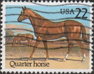 # 2155 USED QUARTER HORSE