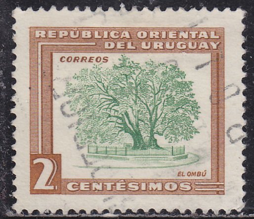 Uruguay 607 Ombu Tree 1954