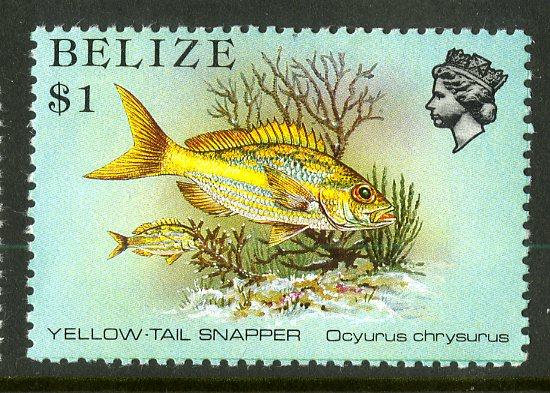 BELIZE 711   MNH SCV $1.35 BIN $.60  MARINE LIFE