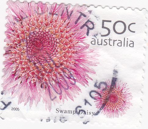 Australia #2400 - 2005 Wildflowers-Swamp Daisy 50c Used