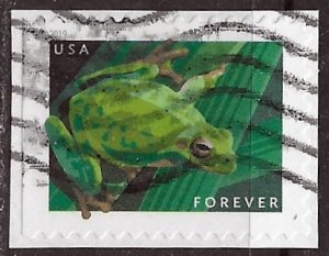 US ~ Scott # 5395 ~ Used on paper ~ Pacific Tree Frog