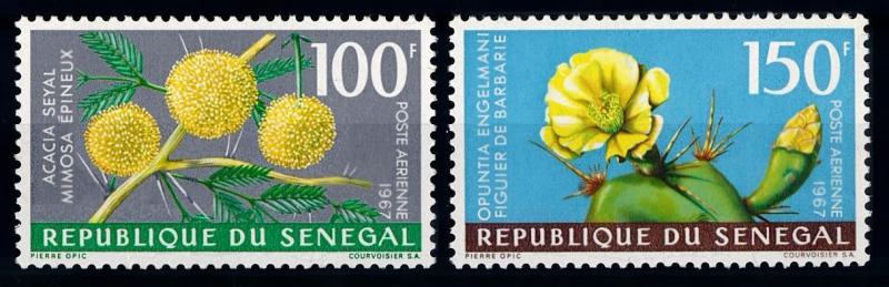 [65880] Senegal 1967 Flora Plants Pflanzen Cactus Airmail MNH