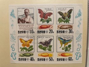 Korea DPR 1991 : Butterflies - Very Fine Souvenir Sheet