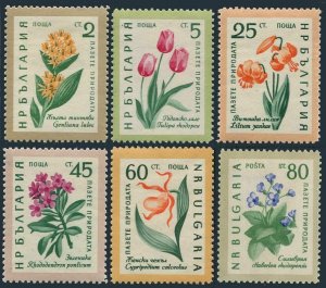 Bulgaria 1107-1112,hinged.Mi 1164-1169. Flowers 1960:Yellow gentian,Tulips,Lily,