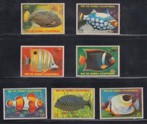 Equatorial Guinea   fish  mnh
