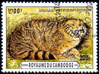 Wildcat, Felis Silvestris, Cambodia stamp SC#1492 used