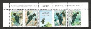 SERBIA-MNH- STRIP -FAUNA-BIRDS-WWF-PROTECTED ANIMAL SPECIES-2007.