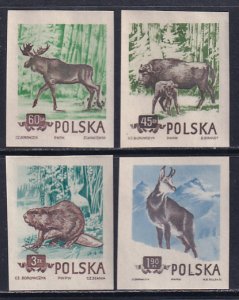 Poland 1954 Sc 660-3 European Elk Bison Beaver Chamois Animals IMP Stamp MH