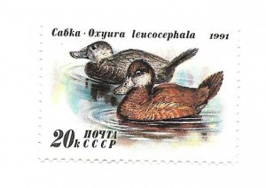 CCCP 1991 - MNH - Scott #6011 *