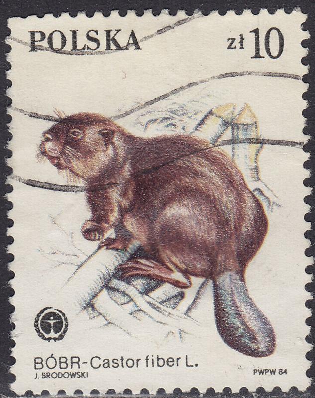 Poland 2653 Protected Animals, Castor Fiber 10.00zł 1984