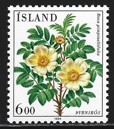 Iceland #586   MNH