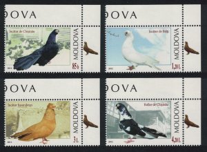 Moldova Breeds of Pigeon Birds 4v Pigeon Corners 2012 MNH SG#782-785 MI#799-802