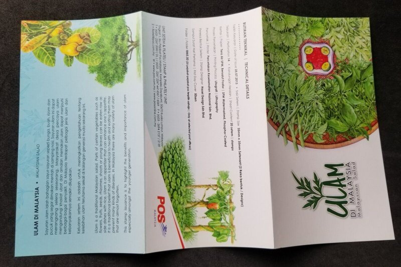 Malaysia Salad 2013 Tree Fruit Vegetable Flora Gastronomy Food (FDC pair)