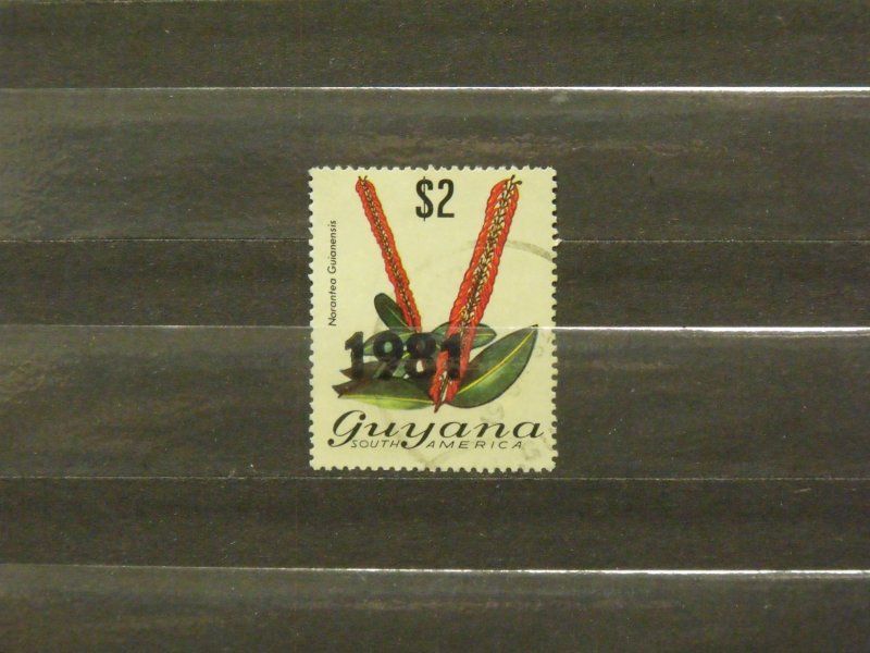 7851   Guyana   Used # 370b                 CV$ 25.00
