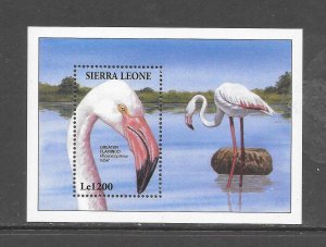 BIRDS - SIERRA LEONE #1739 GREATER FLAMINGO S/S MNH