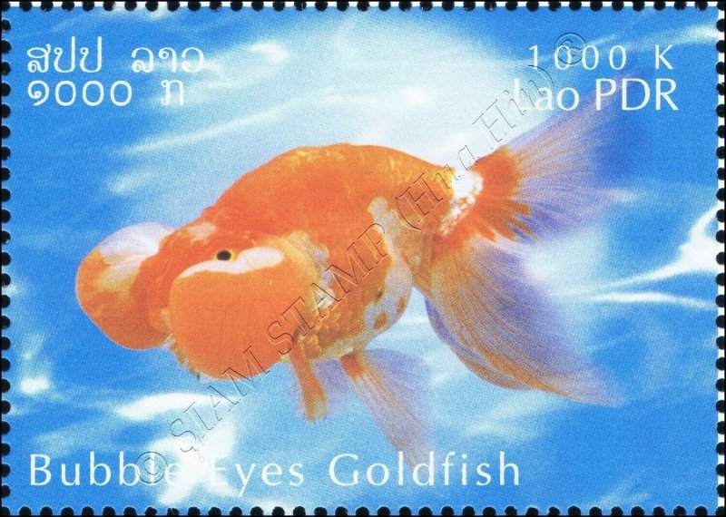 Goldfish Breeds -PERFORATE- (MNH)