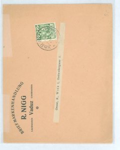 Liechtenstein  1928 Cover to Austria, 10 RP Solo, Printed Matter