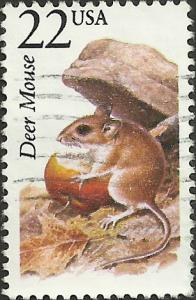 # 2324 USED DEER MOUSE